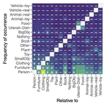 Characterizing the object categories two children see and interact with in a dense dataset of naturalistic visual experience